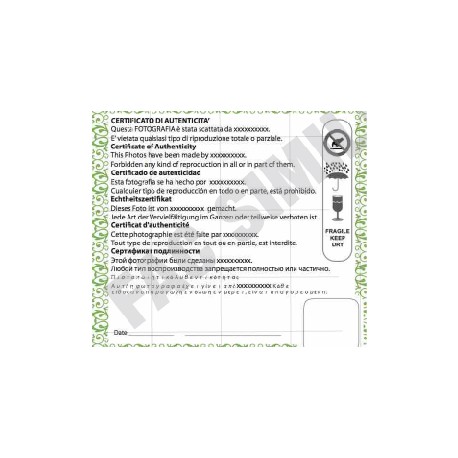 Certificato di Garanzia adesivo personalizzato