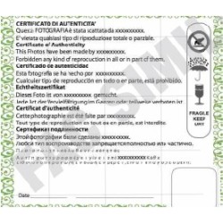 Certificato di garanzia adesivo personalizzato con ologramma GENUINE (60 pz)